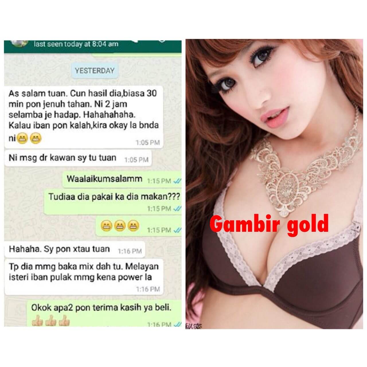 GAMBIR GOLD SPRAY 11 GAMBIR GOLD SPRAY